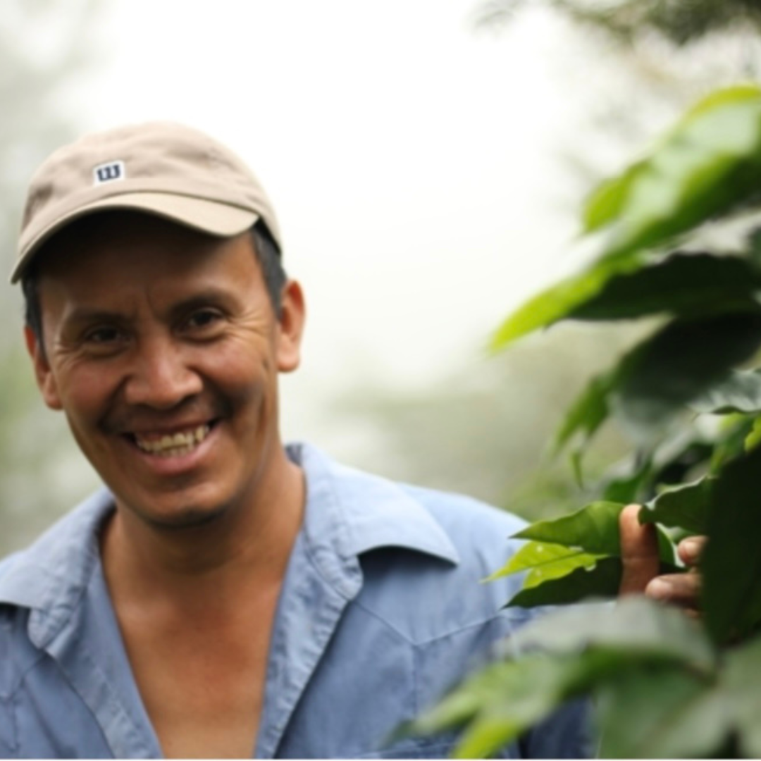 Organic Honduras Coffee - Imagen 3