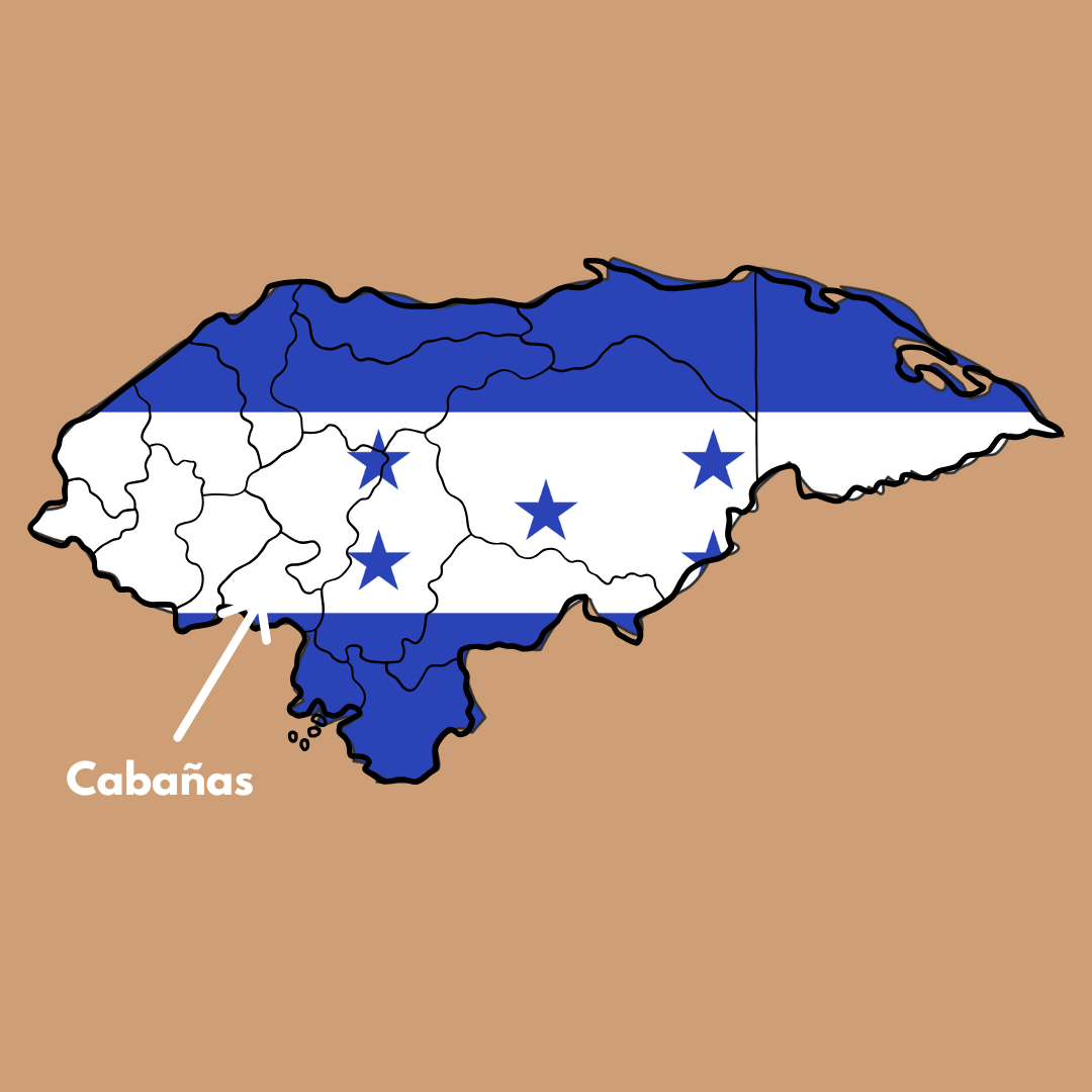 Organic Honduras Coffee - Imagen 5