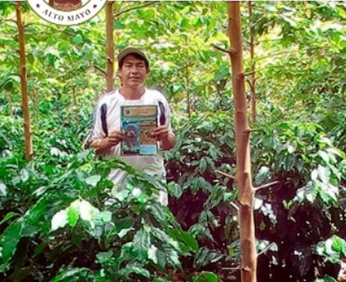Organic Peru Coffee - Imagen 4