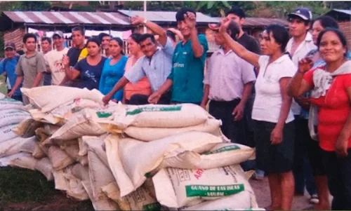 Organic Peru Coffee - Imagen 3